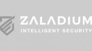 Zaladium Analytics